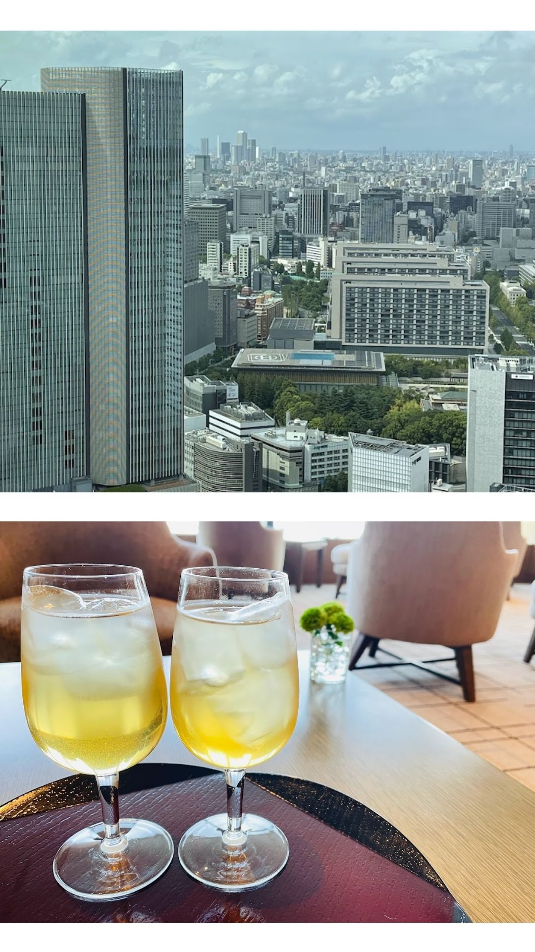 Christmas Tree and Illuminations